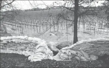  ?? NEWS-SENTINEL FILE PHOTOGRAPH ?? Water from the Mokelumne River rushes into a vineyard off of Victor Road east of Lodi as crews work to reinforce the levee on Jan. 16.