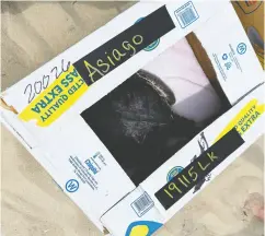  ??  ?? The turtles, all nicknamed after cheeses, were transporte­d to Assateague in banana boxes.