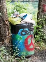  ??  ?? Trash along one of the trails leading to Peace Rock in Tilden Township.