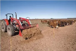  ?? ROBERTO PERA ?? Silo. Cuando el alimento está más cerca, el animal consume menos energía.