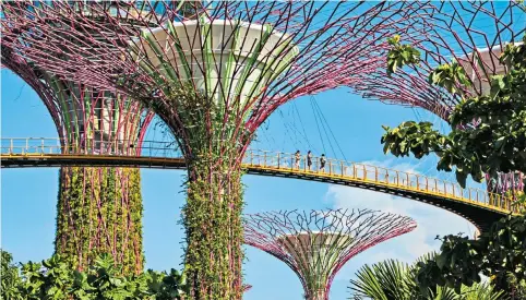  ?? ?? The future is bright: Garden by the Bay is a must-see