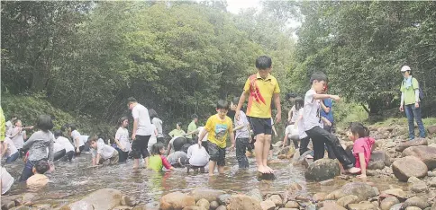  ??  ?? Children in the great outdoors during a guided walk by WWF-Malaysia staff at Matang Wildlife Rehabilita­tion Centre.