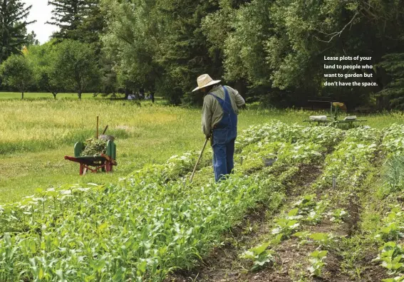  ??  ?? Lease plots of your land to people who want to garden but don’t have the space.