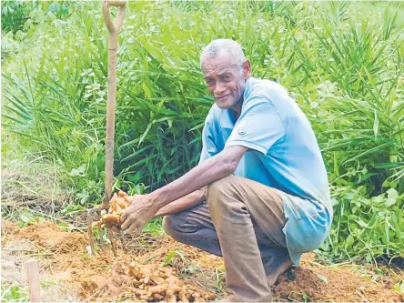  ?? Picture: ANASEINI DIMATE ?? Peniasi Tagitagiva­lu said prices of cassava have gone up terribly and there’s nothing that could be done about it. because the yuths were leaving Fiji to work overseas.