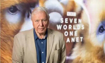  ??  ?? Sir David Attenborou­gh at the world premiere of Seven Worlds, One Planet. Photograph: David Parry/PA