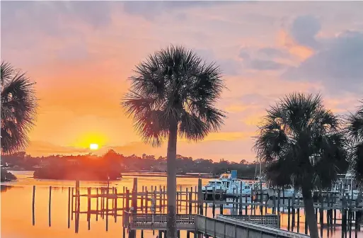  ?? DREAMSTIME ?? One of the best things to do from the Tarpon Springs Sponge Docks is take a boat tour, offering the Anclote River,Tarpon Springs history, Gulf waters and dolphins.