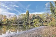  ?? RP-FOTO: MARC INGEL ?? Der Wasserspie­gel im Ostparkwei­her sinkt dramatisch, jetzt sollen Lösungen abgewogen werden.