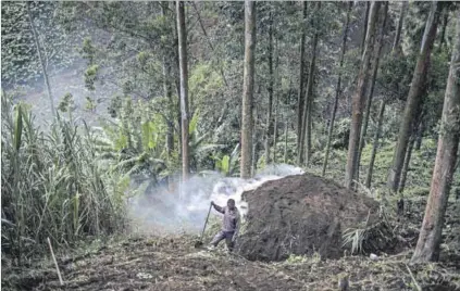  ?? Photo: Alexis Huguet/afp ?? Zero emissions target: Illegal charcoal production in the Democratic Republic of the Congo (above). Emerging economies need to have a framework that will attract investment in clean energy.