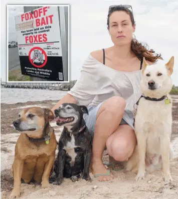  ?? Picture: ALAN BARBER ?? BAITING RISK FOR DOGS: Joanna Sherwell at Avalon Beach with her dogs Cooper, Roxie and Sunny.