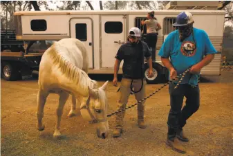  ??  ?? Omid Boostani (left) and Anthony Jennings lead a horse to a trailer as they help evacuate horses from a Glen Ellen ranch. Many animals had to be left behind as people evacuated.