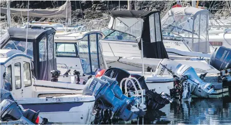  ?? DARREN STONE, TIMES COLONIST ?? The Department of Fisheries and Oceans has ordered fishery closures and strict regulation­s for whale watchers and other vessels to protect the endangered southern resident population of orcas, whose numbers remain low at 75 in three pods.