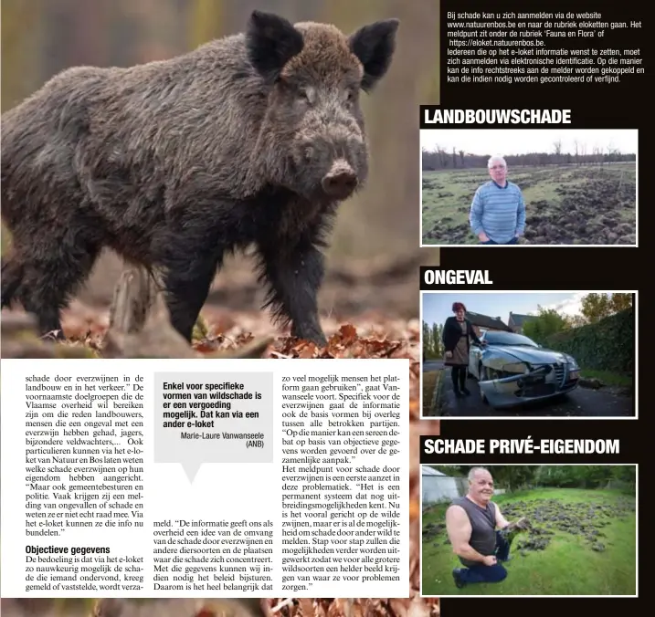  ?? Marie-Laure Vanwanseel­e
(ANB) ?? Enkel voor specifieke vormen van wildschade is er een vergoeding mogelijk. Dat kan via een ander e-loket