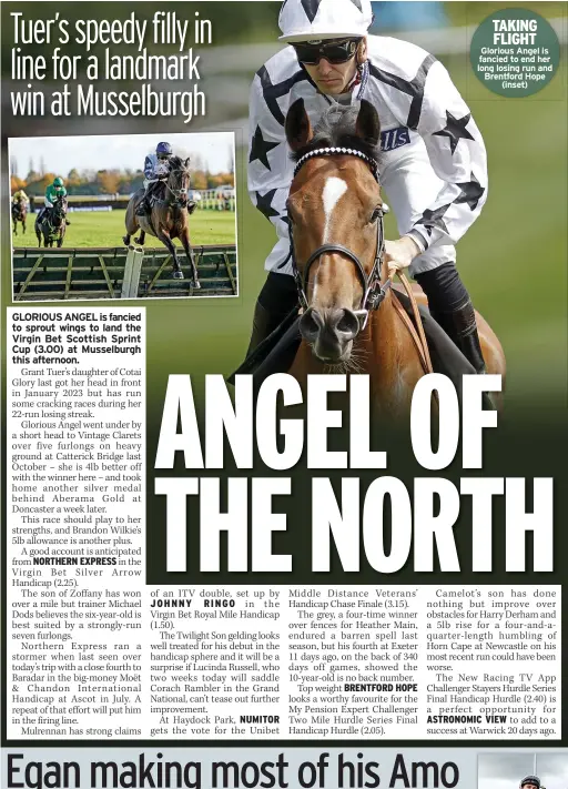  ?? ?? TAKING FLIGHT glorious angel is fancied to end her long losing run and Brentford Hope
(inset)