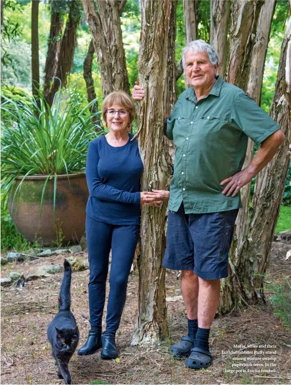  ??  ?? Maria, Miles and their faithful rabbiter Ruffy stand among mature swamp paperbark trees. In the large pot is Astelia banksii.
