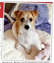  ??  ?? d.martin@dailymail.co.uk Barkxit: Boris and Carrie’s new newpup pup