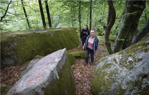  ?? Bild: ANNIKA KARLBOM ?? I SKOGEN. Cornelia Magnusson och Amanda Nord Axelsson ska göra rent Bexells talande stenar.