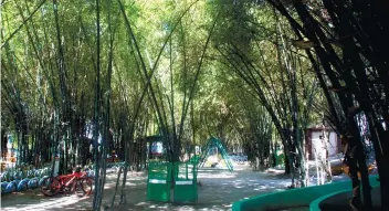  ??  ?? BAMBOO PLANTATION. Part of a five-hectare developmen­t plan in Lubao that was started at the time of then-President Gloria Macapagal Arroyo.