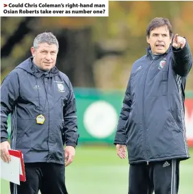  ??  ?? > Could Chris Coleman’s right-hand man Osian Roberts take over as number one?