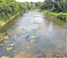  ?? FOTO: LANDRATSAM­T ?? Trockene Kiesbänke und Algen: Die Donau, hier an der Nepomukbrü­cke in Sigmaringe­n, führt extrem wenig Wasser.