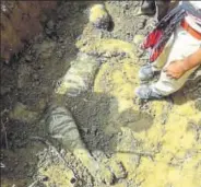  ?? PHOTO: ROHEET KAROO ?? Tiger Srinivas’ body was dug out by forest officials on Thursday.