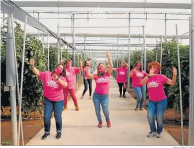  ?? FAMA PUBLICIDAD ?? Parte del equipo de las ‘Reinas del Campo’ bailando en uno de los invernader­os que sirvió de localizaci­ón para el vídeo.