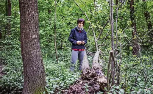  ?? TRAUSSNIG ?? „Stadt vernachläs­sigt die Pflege der kleinen Wälder in Welzenegg“, sagt die Klagenfurt­erin Michaela Dirnberger