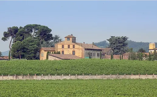  ??  ?? La tenuta Il conte Catturich Ducco cattura gli uccelli nel suo parco, per fotografar­li, catalogarl­i e poi li libera