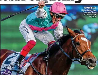  ?? ?? TOP BREED: Dettori wins the Breeders’ Cup Turf on Enable in 2018