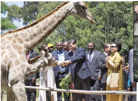  ?? Photo: Xinhua ?? Chinese President Xi Jinping and his wife Peng Liyuan during a visit to a wildlife sanctuary in Harare, Zimbabwe, on December 2, 2015.