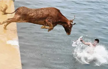  ?? Jose Jordan / AFP / Getty Images ?? A bull jumps in the water during the traditiona­l Bull in the Sea event near Alicante, Spain, on Monday. In the higher-profile running of the bulls in Pamplona, also in Spain, an American was gored in the neck by a bull, but he survived. In Monday’s Pamploma run, four people were hurt; three of them were treated at hospitals.