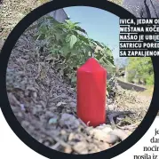  ??  ?? ivica, jedan od meštana kočetina, našao je ubijenu satricu pored puta sa zapaljenom kosom