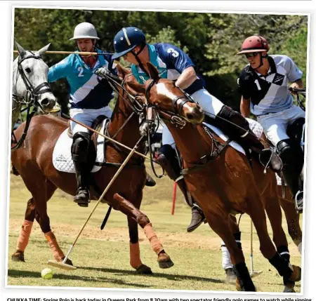  ?? Photo: Bev Lacey ?? CHUKKA TIME: Spring Polo is back today in Queens Park from 11.30am with two spectator friendly polo games to watch while sipping champagne and enjoying the wonderful food and life music.