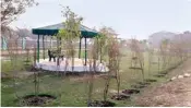  ??  ?? An eco-park with new trees is coming up in the protected Surajpur Wetland area in Greater Noida