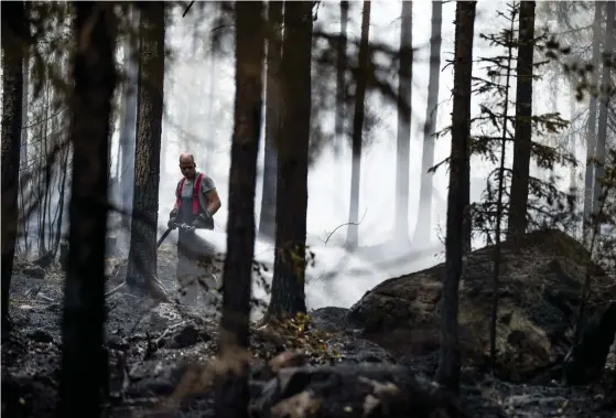  ?? FOTO: LEHTIKUVA/RONI LEHTI ?? En omfattande skogsbrand härjade i byn Santtio i Pyhäranta kommun i Egentliga Finland i slutet av juli.