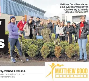  ??  ?? Matthew Good Foundation employee representa­tives volunteeri­ng at a guide dogs breeding centre