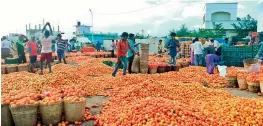  ??  ?? Tomatoes strewn outside the Pathikonda market yard in Kurnool, AP, on Friday.
AP has seen a bumper tomato crop. Most agents are entering into out-of-market settlement­s, offering `2-3 per kg. The retail price is `15 per kg.
It is only after bringing tomatoes to the market in rented vehicles that the farmer comes to know the price is `2.
Left with few options, farmers sell at low prices or just throw the tomatoes away.