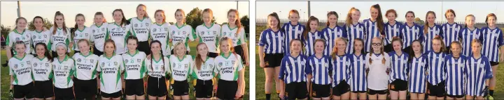  ??  ?? Ballygarre­tt, the Division 2 runners-up. The successful Adamstown squad.