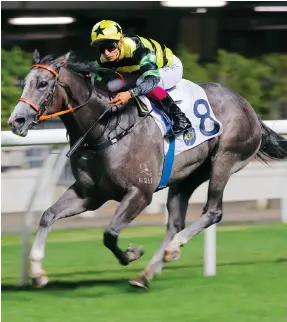  ?? Photos: Kenneth Chan ?? Karis Teetan sits quietly as Dragon Kingdom delivers the goods at Happy Valley.