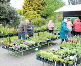  ??  ?? Eager bargain hunters snap up plants at the Totara College Garden and Craft Expo last Saturday.