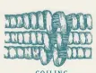  ??  ?? COILING Most baskets are created using one or more of three basic techniques or their variations: coiling, plaiting or twining.