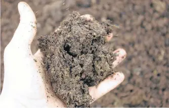  ??  ?? When it's time to harvest worm compost and the soil in the bins is broken down into rich, black worm casings, Mcbride says the trick is to leave the lid off the bin.