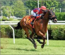  ?? PHOTO ELSA LORIEUL/NYRA ?? Sandy’z Slew with Jose Oriz aboard races to the wire in Sunday’s G3 The Troy at Saratoga Race Course.