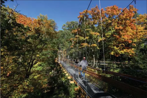  ?? HOLDEN ARBORETUM ?? Murch Canopy Walk at Holden Arboretum in Kirtland