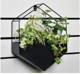  ??  ?? Look to angled geometric shapes and straight lines for a sleek, modern finish
New York hexagon wall planter, £7, B&M