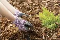  ?? Tribune News Service ?? ■ A mix of grass clippings, leaves and compost will give your soil and plants a nutrient boost.