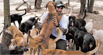  ?? LUIS ANDRES HENAO/AP ?? Rescued dogs flock to Ricardo Pimentel last week at his animal shelter.