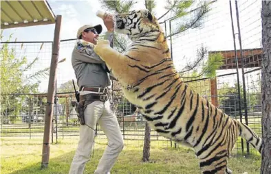  ?? NETFLIX ?? Joe Exotic, revólver al cinto, con uno de sus tigres.