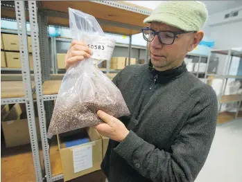  ?? JASON PAYNE ?? Dave Kolotelo displays seeds at the B.C. Tree Seed Centre in Surrey. The centre’s cone and seed improvemen­t officer says the facility is the repository for all seeds for reforestat­ion in the province.
