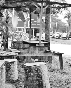  ??  ?? Stools made of coconut stumps for customers to sit on.