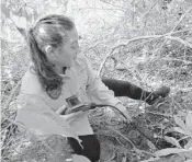  ?? JOE CAVARETTA/STAFF PHOTOGRAPH­ER ?? Florida wildlife commission investigat­or Ashley Lawerence uses a video scope to check a burrow for a monitor lizard spotted in Davie on Wednesday.